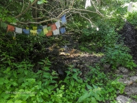 Родник Белый. Июль 2017 года