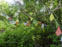 Родник Белый. Июль 2017 года