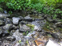 Родник Белый. Июль 2017 года