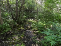 Родник Белый. Июль 2017 года