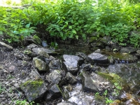 Родник Белый. Июль 2017 года