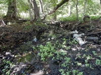 Родник близ Яманского ущелья