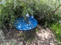 Святой источник Табынской Божией Матери. Июль 2017 года