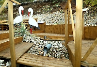 Родник Татьянин. Октябрь 2022 года