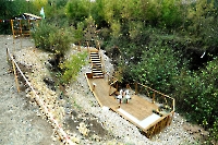 Родник Татьянин. Октябрь 2022 года