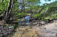 Родник Плакунка. Май 2013 года