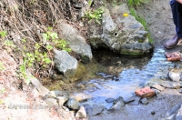 Родник Плакунка. Май 2013 года