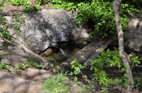 Родник Холодный ключ. Май 2013 года