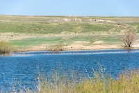 Река Жарбутак (Джар-Бутак)