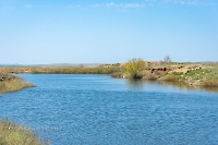 Река Жарбутак (Джар-Бутак). Апрель 2023 года