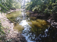 Река Черная