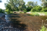 Река Губерля