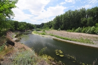 Река Губерля