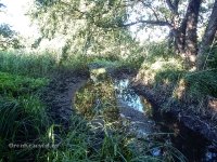 Река Туембетка