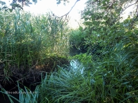 Река Туембетка