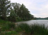 Река Сакмара