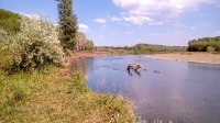 Река Сакмара