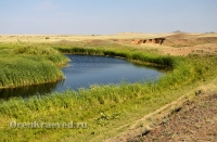 Река Карабутак. Июль 2012 года