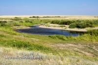 Река Карабутак. Июль 2012 года