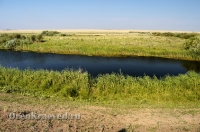 Река Карабутак. Июль 2012 года