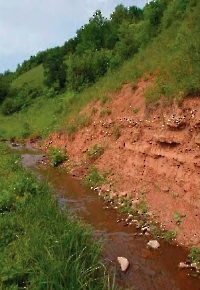 Ручей Тростянка