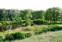 Река Погромка