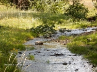 Ручей Яман (Килькан)