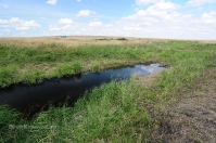 Ручей Верхний Караус