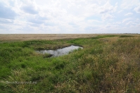 Ручей Верхний Караус