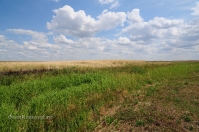 Ручей Верхний Караус