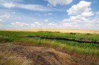 Ручей Верхний Караус