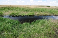 Ручей Верхний Караус