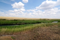 Ручей Верхний Караус