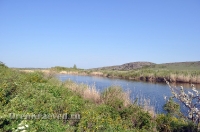 Река Камсак (Камсакты). Май 2012 года