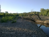 Река Большой Ик. Июль 2011 года