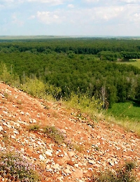 Долина реки Большой Кинель у села Емельяновка