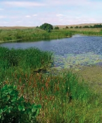 Река Кинделя (Киндели)