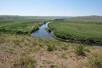 Ручей Горюнка (Большая Горюнка)