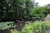 Река Чебакла (Сара, Чебокна)