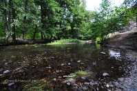 Река Чебакла (Сара, Чебокна)