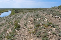 Река Кумак (Большой Кумак)