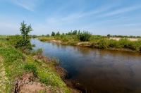 Река Кумак (Большой Кумак)