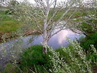 Река Большой Уран (Большой Чуран)