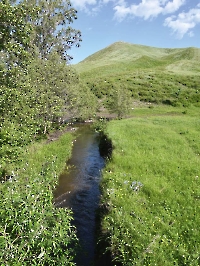 Река Белгушка (Белгушна)