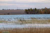 Красночабанское водохранилище. Октябрь 2024 года