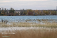 Красночабанское водохранилище. Октябрь 2024 года