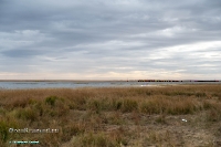 Красночабанское водохранилище. Октябрь 2024 года