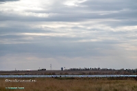 Красночабанское водохранилище. Октябрь 2024 года