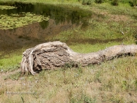 Озеро Чертово