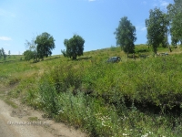 Саринский пруд (Сухайташенский пруд)